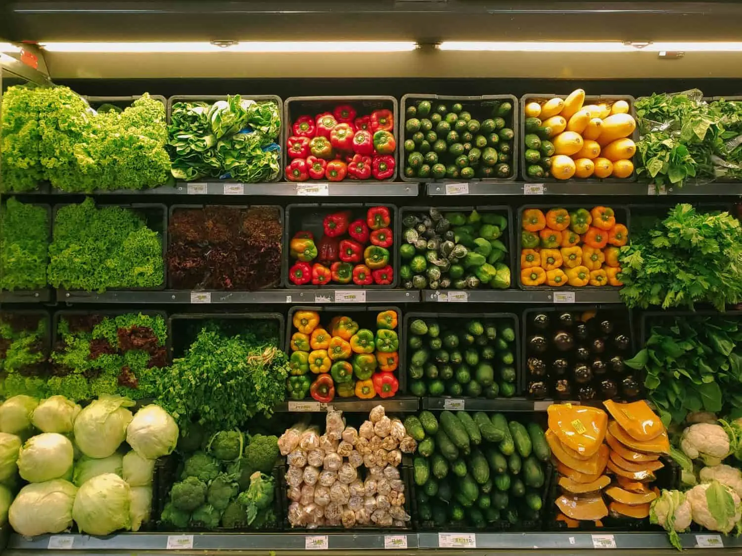 Grocery Essentials
